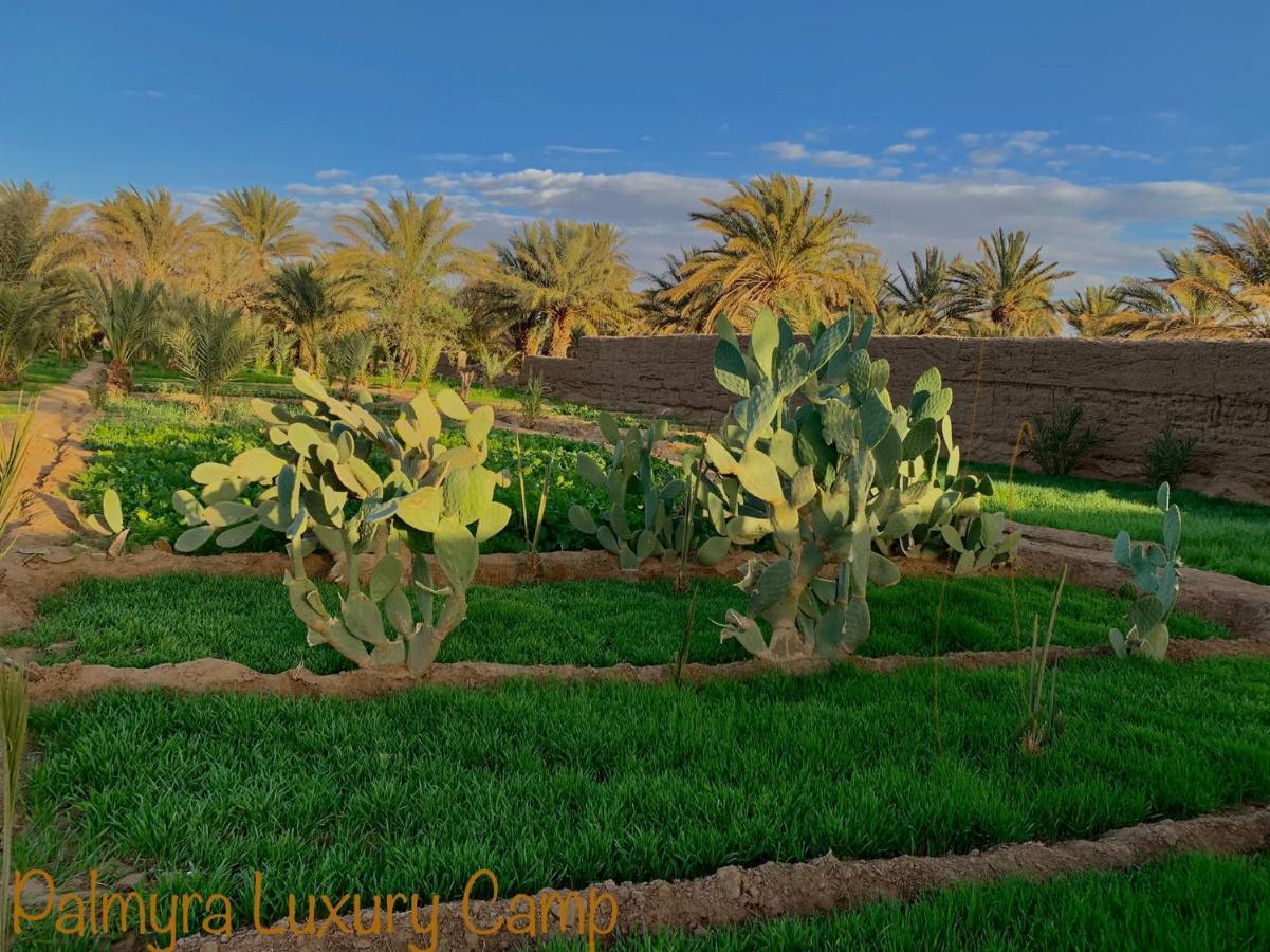 Palmyra Luxury Camp Hotel Merzouga Luaran gambar